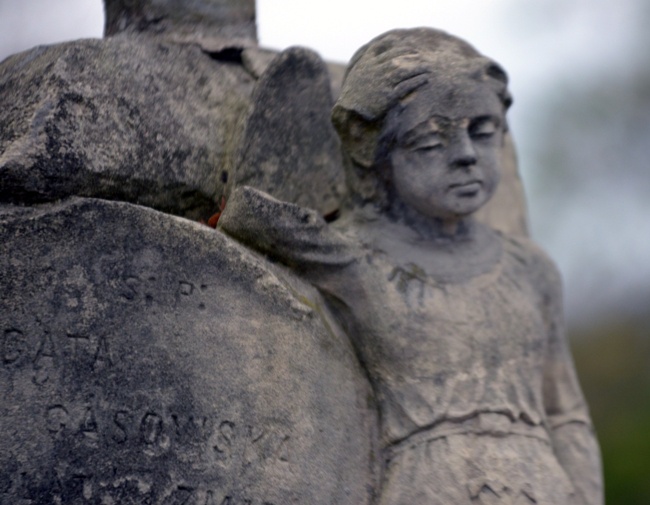 Modlitwa za zmarłych na cmentarzu rzymskokatolickim w Radomiu