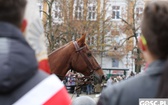 Wojewódzkie Obchody Narodowego Święta Niepodległości