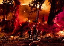 Strażacy walczący z gigantycznym pożarem, który na północny zachód od Los Angeles pochłonął ponad 7 tys. akrów  ziemi uprawnej.
1.11.2019 Ventura, Kalifornia