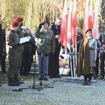 Święto Niepodległości w Bielsku-Białej - 2019