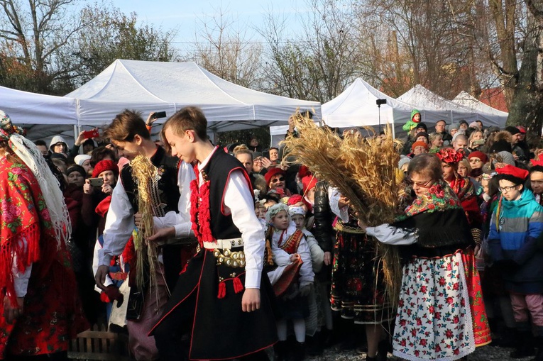 Osadzanie chochoła przed Rydlówką 2019