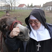 Najlepsze karpie sprzedają w Staniątkach