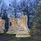 Rudnik nad Sanem, rynek. Wiklinowe anioły.