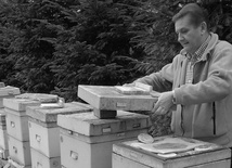 Śp. ks. Marek Kręcioch był także pasjonatem pszczelarstwa.