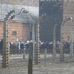 75. rocznica wyzwolenia KL Auschwitz-Birkenau - 2020