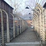 75. rocznica wyzwolenia KL Auschwitz-Birkenau - 2020