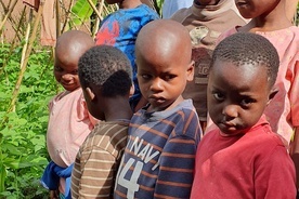 Awokado zaowocuje. Udana akcja Caritas "Drzewo życia dla Rwandy"