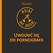 UWOLNIĆ SIĘ OD PORNOGRAFII.
PROGRAM „WOLNY, ABY KOCHAĆ”
pod kierunkiem ks. Erica Jacquineta
PUSTELNIA.PL
Kraków 2020
ss. 347