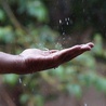 Na Sycylii trwają modły o deszcz