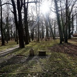 Cmentarz Tryński w Gliwicach