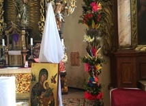 Akcja #palma w diecezji świdnickiej