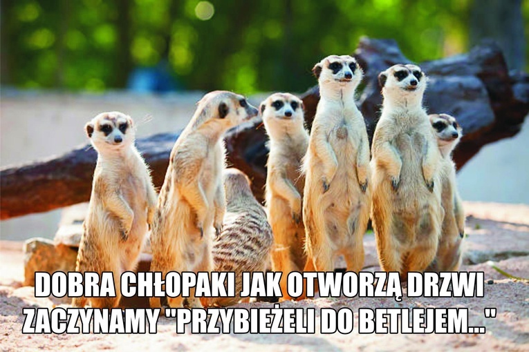 Archidiecezja. Ministranci fabryką memów