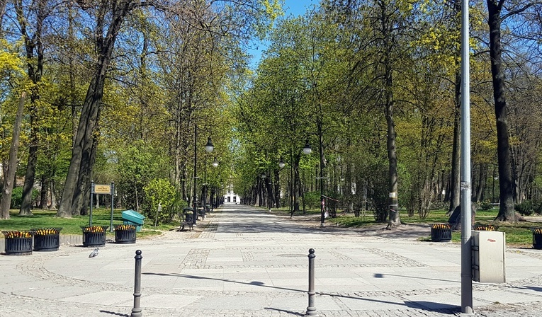 Aleja bp. Jana Chrapka w radomskim parku im. Tadeusza Kościuszki.