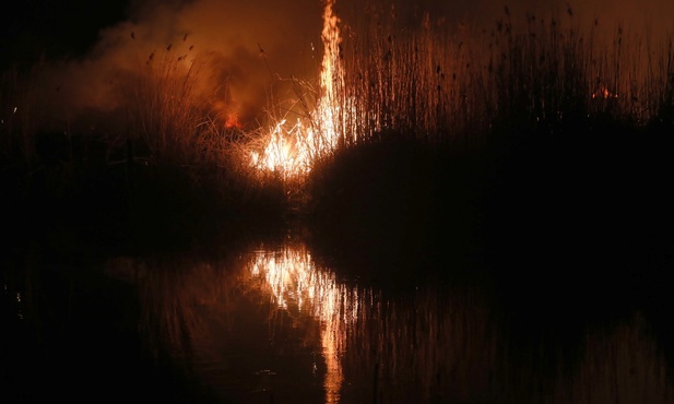Płonie Biebrzański Park Narodowy