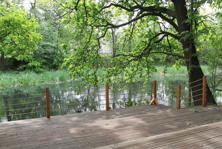 Swojczycki Park "Czarna Woda”