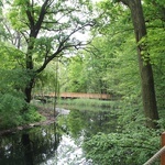 Swojczycki Park "Czarna Woda”