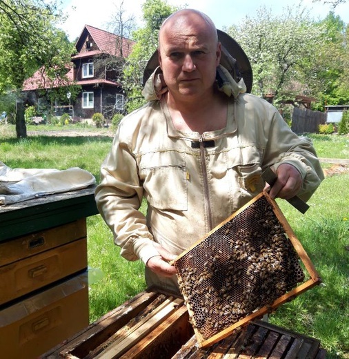 Krzysztof Strózik posiada 30 rodzin pszczelich.