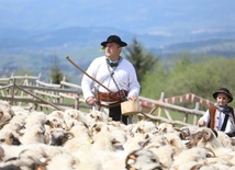 Baca Piotr Kohut rozpoczął kolejny wypas owiec, a wraz z nim - jego syn Paweł...