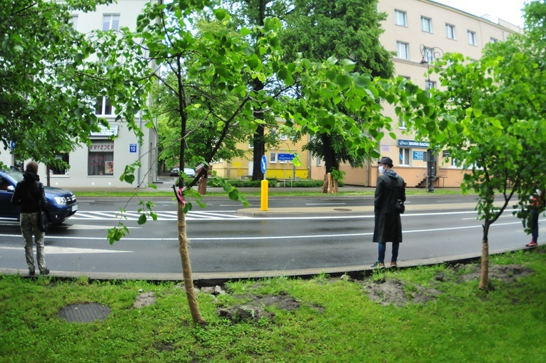 Niemal 150 osób protestowało przeciw wycince drzew przy ul. Lipowej
