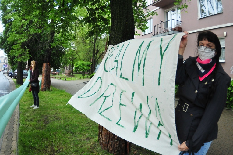 Niemal 150 osób protestowało przeciw wycince drzew przy ul. Lipowej
