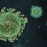 Czego dowiedzieliśmy się o koronawirusie przez ostatnie pół roku?