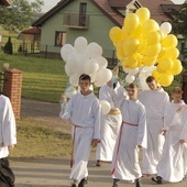 Borowa k. Mielca: Sto papieskich balonów