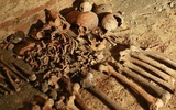 W jednej z krypt odkryto porozrzucane ludzkie kości.