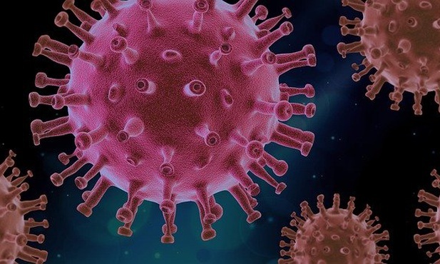 Wirus SARS-CoV-2 wykazuje niewielką zmienność