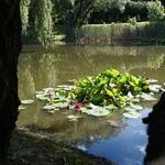 Ogród botaniczny w Zabrzu