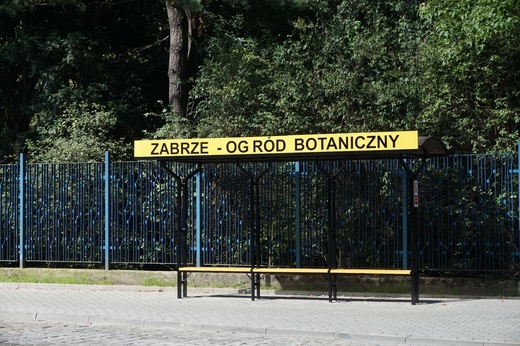 Ogród botaniczny w Zabrzu