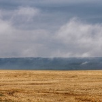 Nowa Ruda. Pieszo do Wambierzyc na 40-lecie koronacji