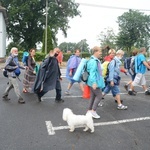 Strumień raciborski w Centawie