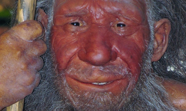 Odkryto szczątki neandertalczyków