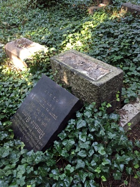 Zabrze. Zdewastowane nagrobki na cmentarzu żydowskim