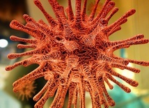 Nowy rekord: Prawie 2000 nowych potwierdzonych zakażeń koronawirusem
