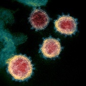 Niemiecki minister zdrowia: Jeśli nie pojawi się nowy wariant wirusa, to na wiosnę pokonamy pandemię