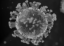 Czwartkowy raport MZ: Już ponad 8 tys. nowych zakażeń koronawirusem