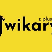Baner reklamowy plebiscytu portalu wAkcji24.