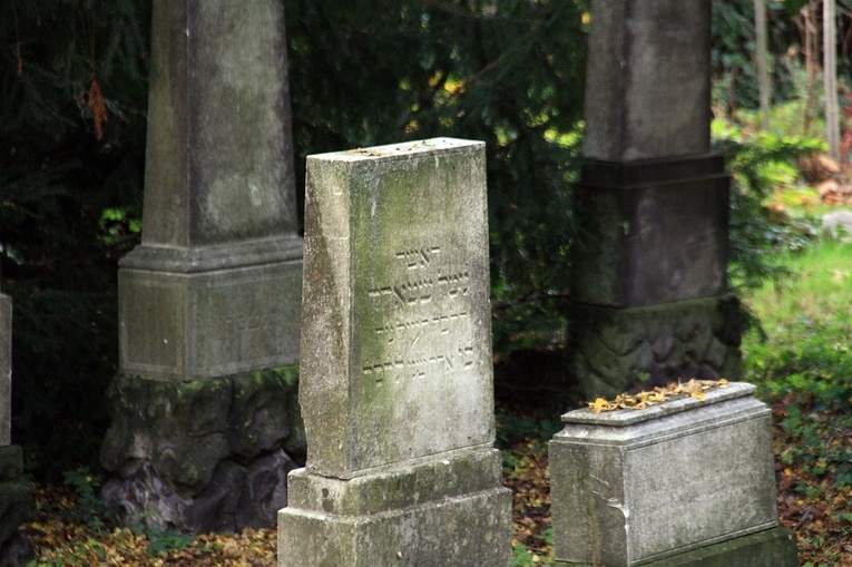 Cmentarz żydowski w Opolu