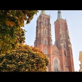 Transmisja Mszy św. z katedry wrocławskiej  w 33. niedzielę zwykłą - 15 listopada 2020.