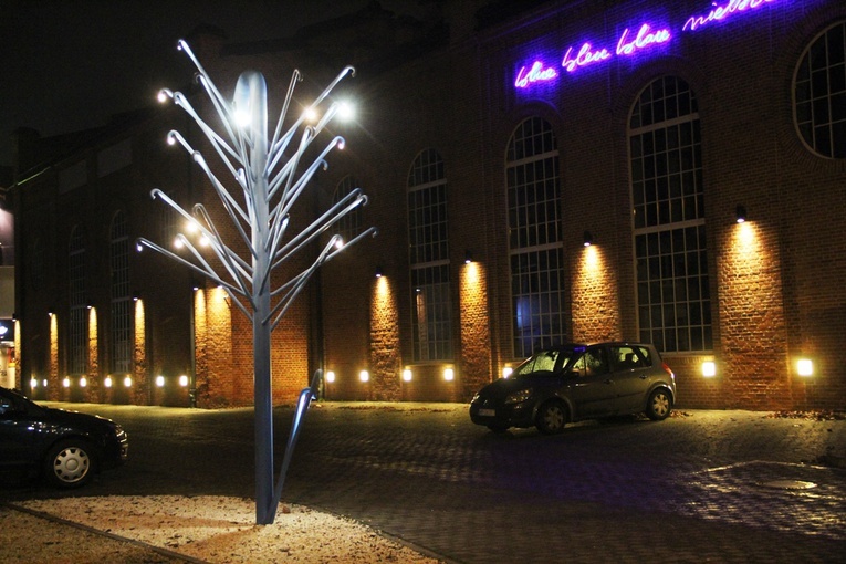  Podświetlana rzeźba Krzysztofa M. Bednarskiego „Oedipus Rex”. Instalacja przypomina wyrastające z ziemi drzewo.
