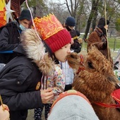 Mrozów. Zamiast orszaku - pomysłowa gra terenowa