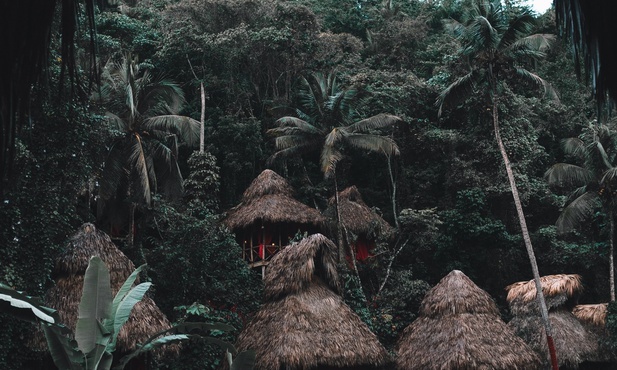 Rdzenni mieszkańcy Amazonii wolniej się starzeją