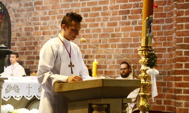 Piękno celebracji - różnorodność funkcji liturgicznych