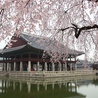 20 neoprezbiterów w Seulu, „wiosna powołań” w Korei Płd.