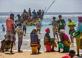 Uchodźcy z opanowanej przez dżihadystów prowincji Cabo Delgado.