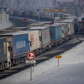 Niemcy: Zamknięcie granic z Czechami i Tyrolem może przerwać łańcuch dostaw towarów w całej Europie