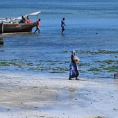 Wiceprezydent Zanzibaru zmarł na Covid-19 - to obala przekonanie, że Tanzania jest wolna od koronawirusa