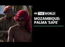 Mozambique army declares Palma safe after town attacked by IS-linked insurgents | The World