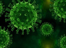 MZ: 28 487 nowych przypadków zakażenia koronawirusem